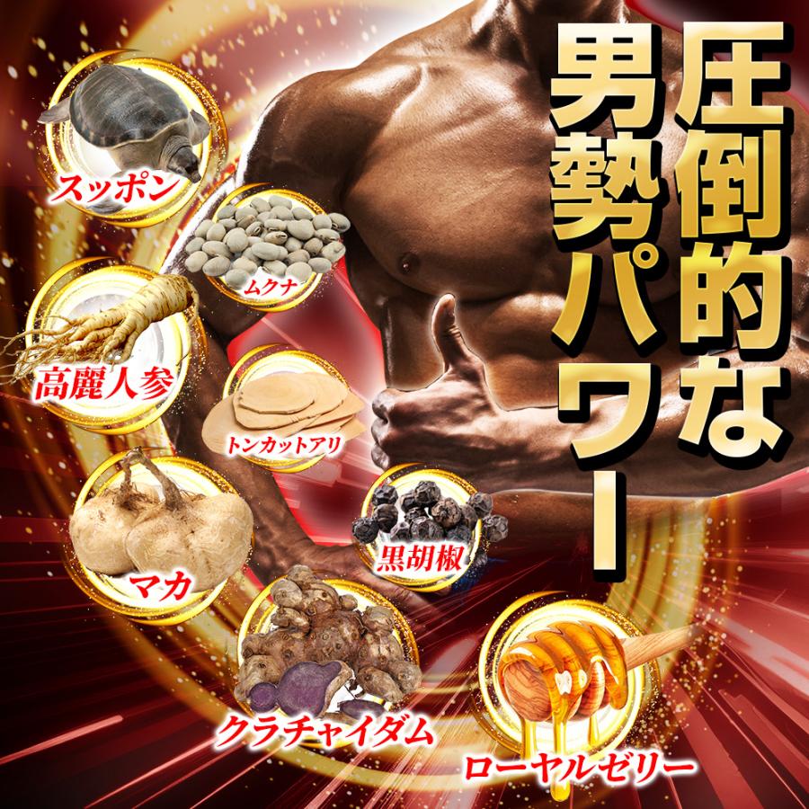 日本サプリメントフーズ ポイント最大30倍 ガチンコ3回戦 亜鉛 マカ 