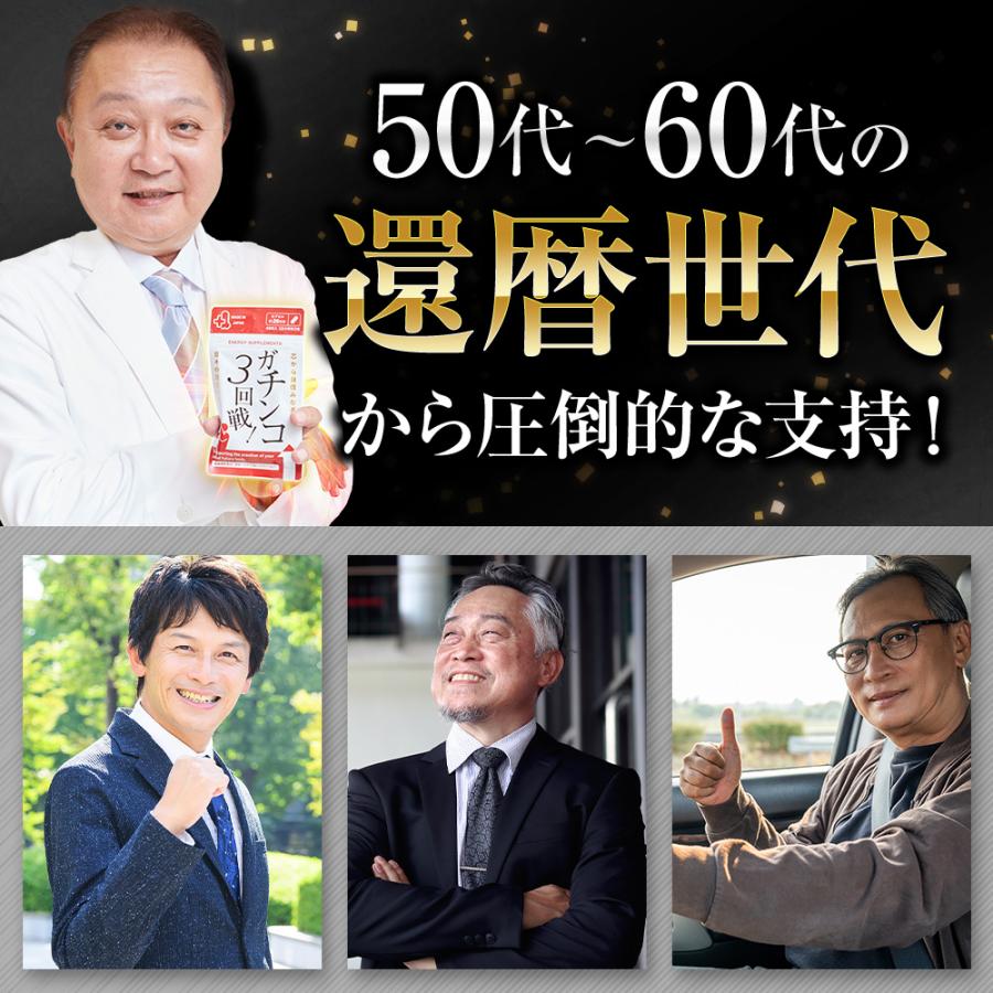 日本サプリメントフーズ ガチンコ3回戦 亜鉛 マカ シトルリン