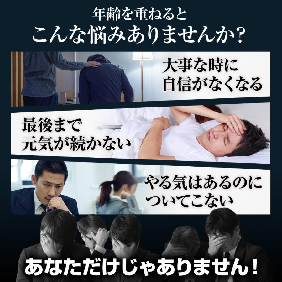 今ならポイント最大20倍 マカ シトルリン クラチャイダム 活力 サプリ マカエンペラー 男性 自信 増大 精力剤 が不安な方に 2箱180粒入 約60日分 | 日本サプリメントフーズ | 02