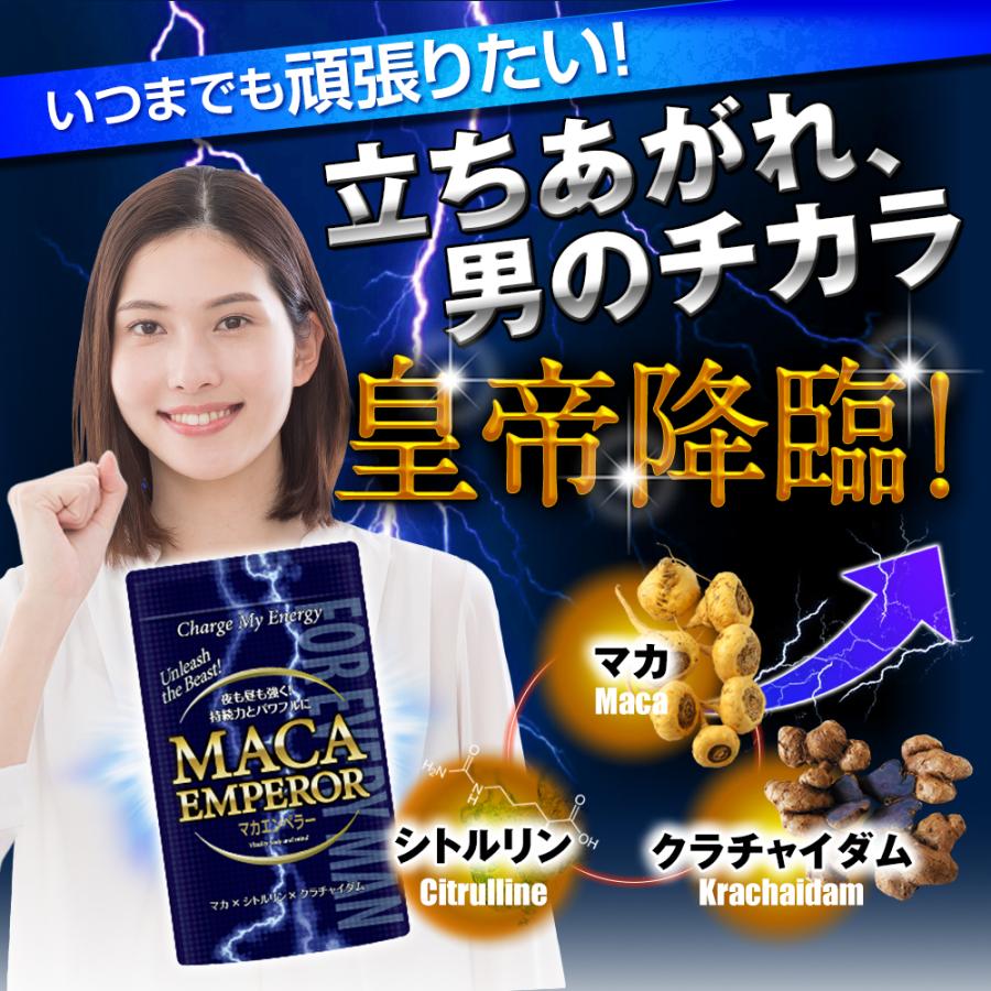 日本サプリメントフーズ (初回半額定期) マカ シトルリン クラチャイ