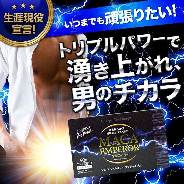 【20％OFF】マカ シトルリン クラチャイダム 活力 サプリ マカエンペラー 男性 自信 増大 精力剤 が不安な方に1箱90粒入・約30日分｜jsf｜03