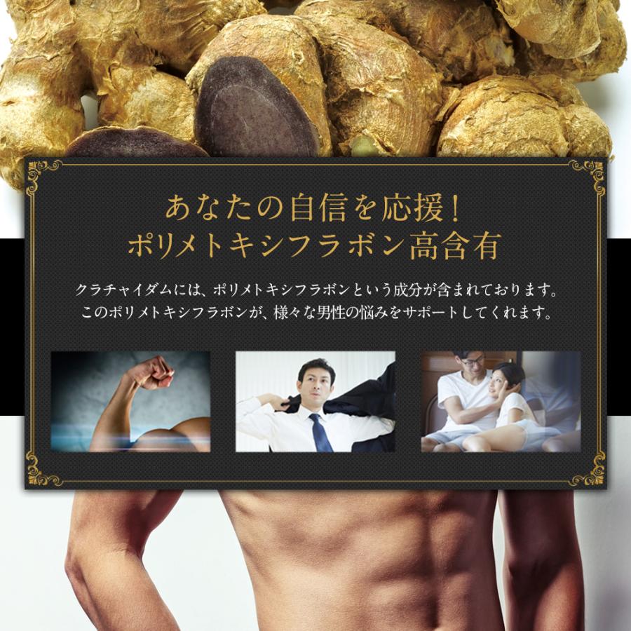 クラチャイダム 10倍濃縮 アルギニン マカ 超え クラチャイダムゴールドZ 男性 活力 ケア 精力剤 が不安な方に サプリ サプリメント 4本 約120日分 | 日本サプリメントフーズ | 03