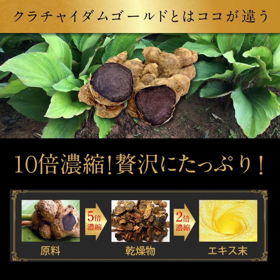 クラチャイダム 10倍濃縮 アルギニン マカ 超え クラチャイダムゴールドZ 男性 活力 精力剤 が不安な方に サプリ  1本 約30日分 | 日本サプリメントフーズ | 08