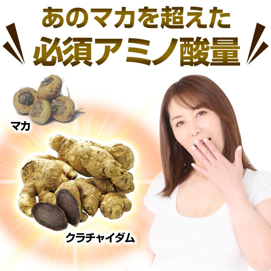 クラチャイダム 10倍濃縮 アルギニン マカ 超え クラチャイダムゴールドZ 男性 活力 精力剤 が不安な方に サプリ  1本 約30日分 | 日本サプリメントフーズ | 04