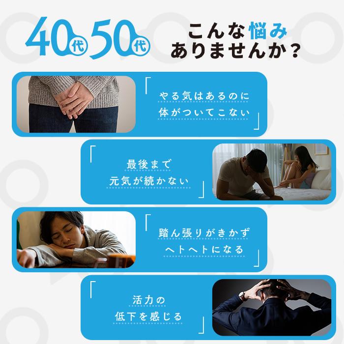 (定期)栄養機能食品(亜鉛) EDace(エデース)亜鉛 亜鉛 430mg マカ ガラナ シトルリン 贅沢配合  精力剤 ではない 活力 自信 増大(1袋 90粒 約30日分) | 日本サプリメントフーズ | 03