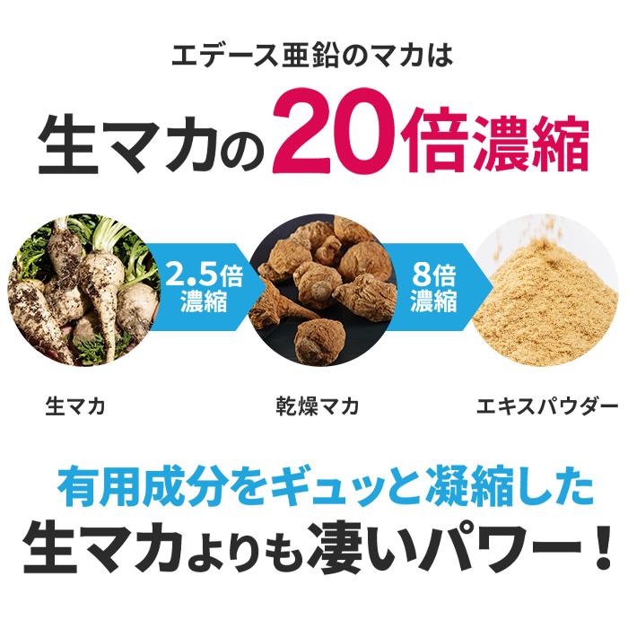 (定期)栄養機能食品(亜鉛) EDace(エデース)亜鉛 亜鉛 430mg マカ ガラナ シトルリン 贅沢配合  精力剤 ではない 活力 自信 増大(1袋 90粒 約30日分) | 日本サプリメントフーズ | 09