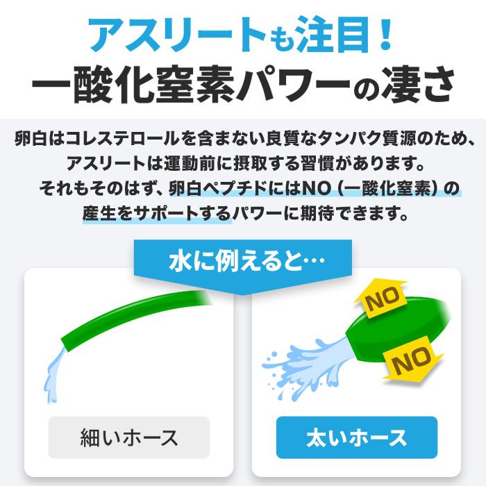 亜鉛 マカ 卵白ペプチド  Edace (エデース) 亜鉛 グルコン酸亜鉛 アルギニン シトルリン 精力剤 ではなく 栄養機能食品(亜鉛)1袋 90粒 約30日分 | 日本サプリメントフーズ | 11