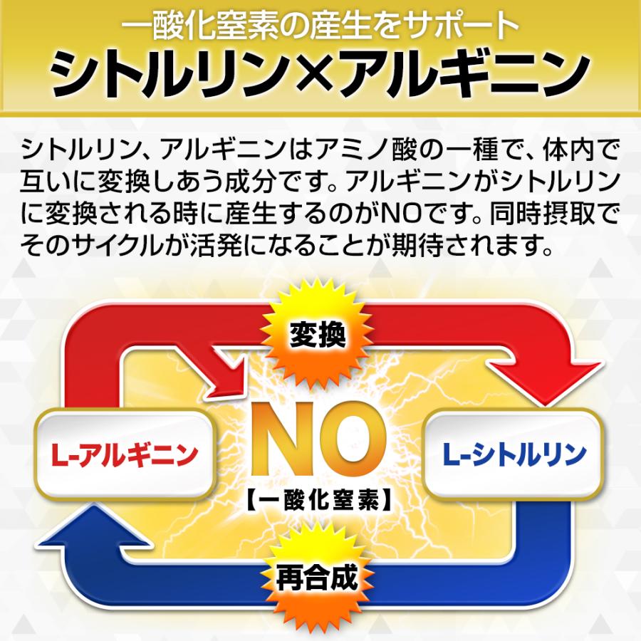 日本サプリメントフーズ ポイント還元率UP！ 小島みなみ絶賛 SIZEUP-α