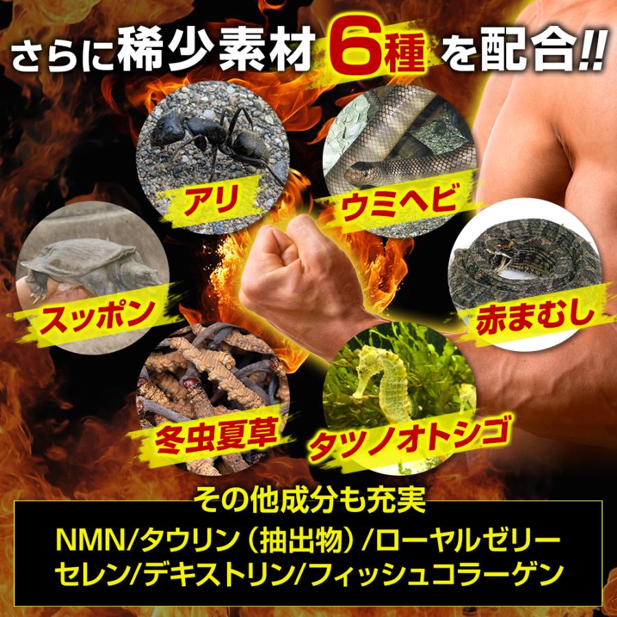 日本サプリメントフーズ ポイント最大30% 小島みなみ絶賛 SIZEUP-α