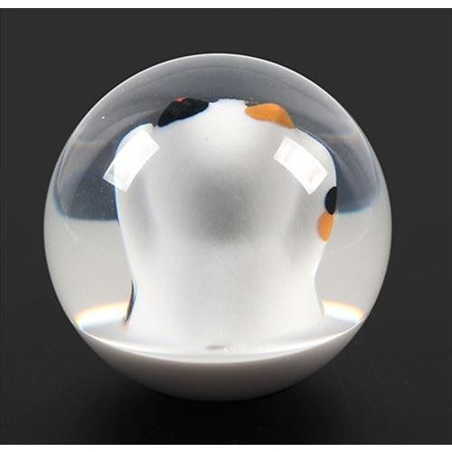 丸型 シフトノブ クリスタル 招き猫 幸せこいこい トラック 自動車 開運 水中花 |  | 03