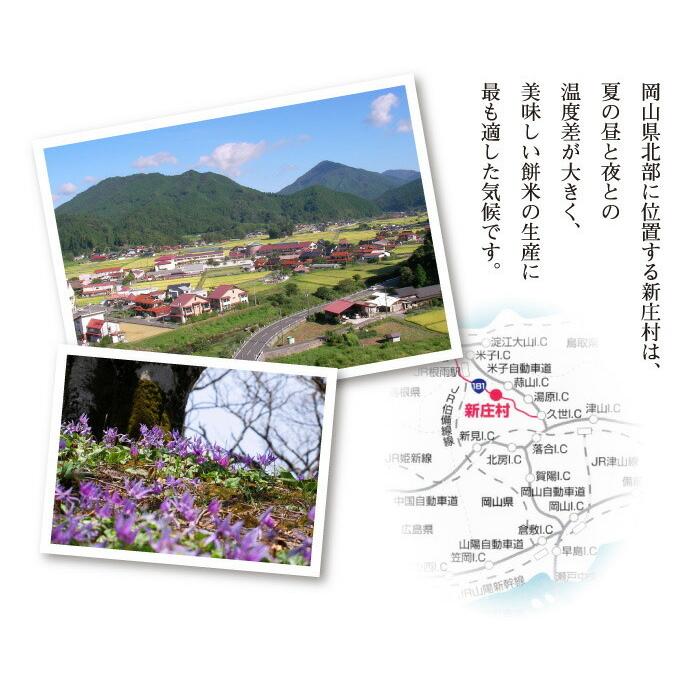 ひめのもち もち米岡山県新庄村産 1.5kg メルヘンプラザ : 岡山産直