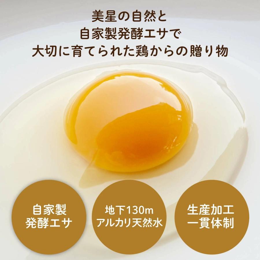 たまごやさんの茶碗蒸しセット 6個セット 送料無料 阪本鶏卵特製 冷蔵