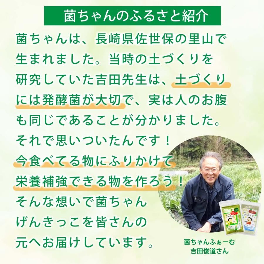 菌ちゃんげんきっこ 微量栄養素たっぷりふりかけ 菌ちゃん元気っこ