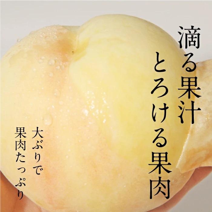 特秀品 桃 糖度センサー 白桃 岡山白桃 清水白桃 1.5kg箱 ギフト 岡山県産 桃 もも 白桃 北海道沖縄一部地域配送不可 送料無料の画像