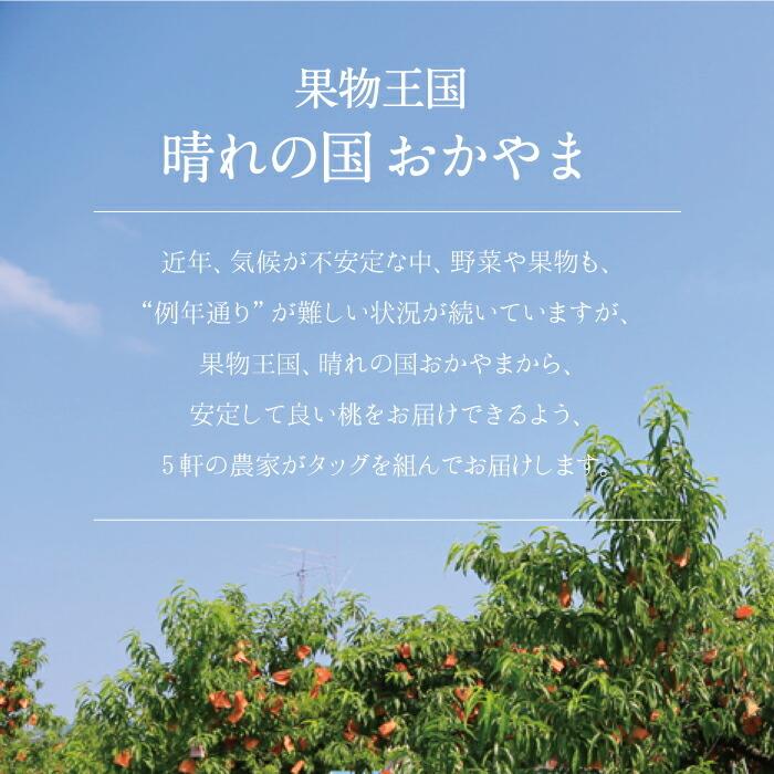 特秀品 桃 糖度センサー 白桃 岡山白桃 清水白桃 1.5kg箱 ギフト 岡山県産 桃 もも 白桃 北海道沖縄一部地域配送不可 送料無料の画像