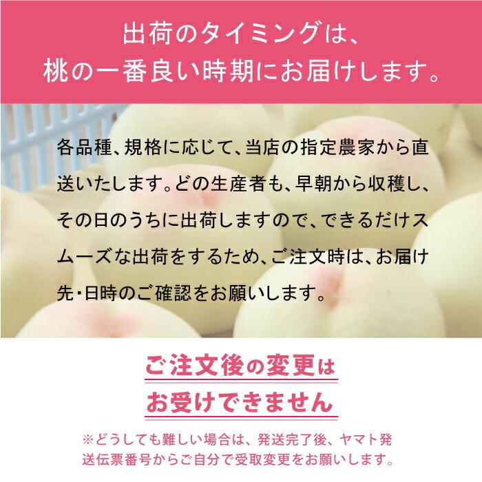 特秀品 桃 糖度センサー 白桃 岡山白桃 清水白桃 1.5kg箱 ギフト 岡山県産 桃 もも 白桃 北海道沖縄一部地域配送不可 送料無料の画像