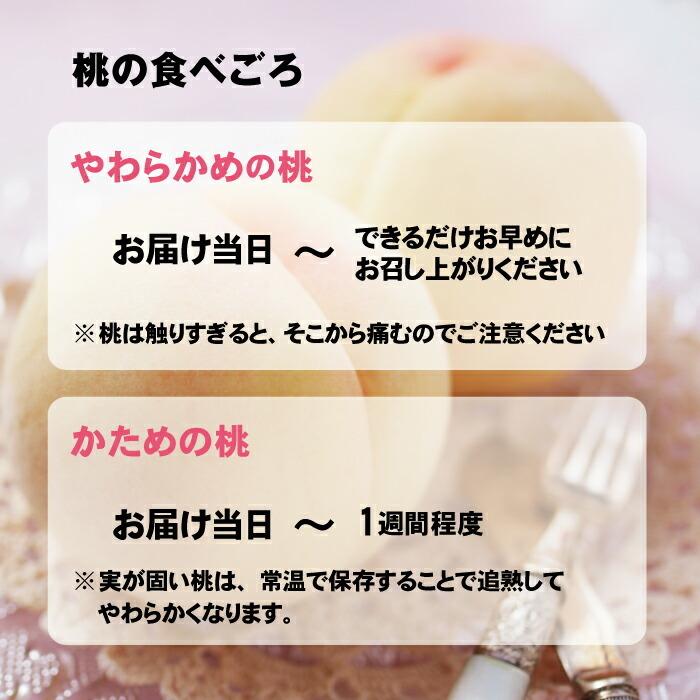 特秀品 桃 糖度センサー 白桃 岡山白桃 1.5kg前後 もも 桃 白桃 岡山県産 おかやま夢白桃 川中島白桃 産直 高級 フルーツ 果物 北海道沖縄一部地域配送の画像
