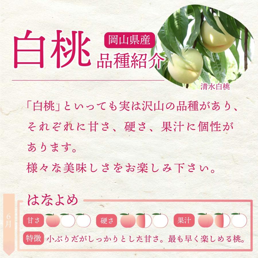 特秀品 桃 糖度センサー 白桃 岡山白桃 1.5kg前後 もも 桃 白桃 岡山県産 おかやま夢白桃 川中島白桃 産直 高級 フルーツ 果物 北海道沖縄一部地域配送の画像