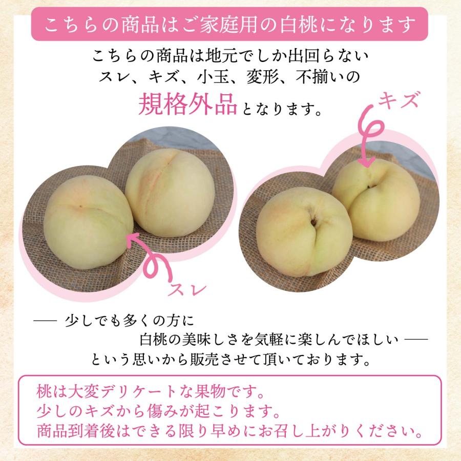 ご自宅用お試しサイズ 桃 白桃 岡山白桃 モモ 1.4kg前後 ケース 品種