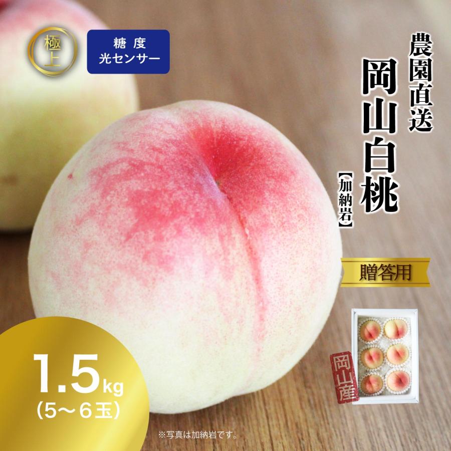 特秀品 桃 糖度センサー 白桃 岡山白桃 1.5kg前後 贈答 ギフト 加納岩