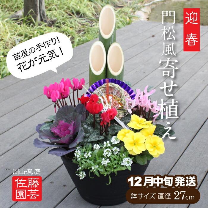 迎春 門松風寄せ植え Satou01 岡山産直工房 Yahoo 店 通販 Yahoo ショッピング