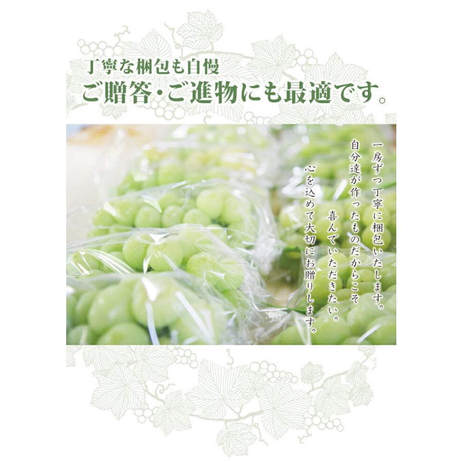 残りわずか 皮ごと食べられる ブドウ 瀬戸ジャイアンツ 特選 3〜4房 送料無料 岡山ぶどう｜jshop-web｜03