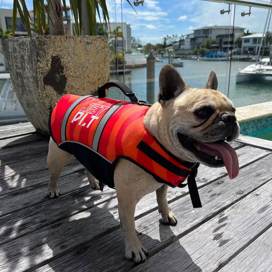 JETPILOT  VENTURE DOG PFD  犬用 救命胴衣 ペット ドッグ ライフジャケット JA23012｜jsptokai｜03