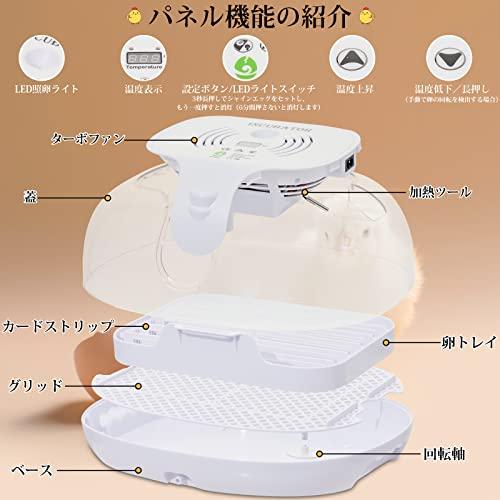 日本人気超絶の インキュベーター 自動孵卵器 孵化器 自動転卵式 16個