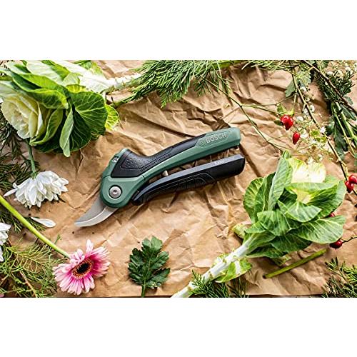 送料無料 Bosch DIY(ボッシュ) コードレスせん定ばさみ EASYPRUNE 【O1753005771】(9115円)