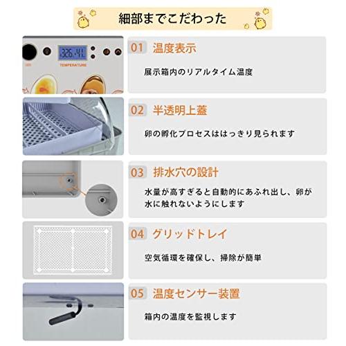 SOHAPI インキュベーター 自動孵卵器 大容量 孵化器 自動転卵 自動温度