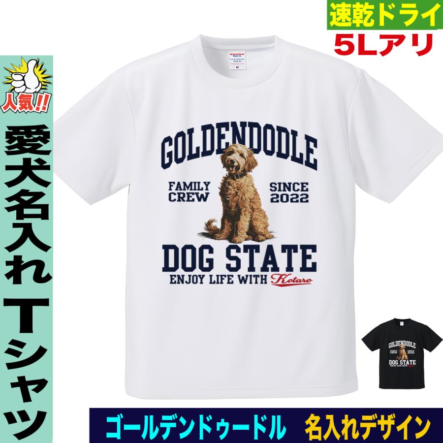 【希少】ジューシークチュール Tシャツ柄 チャーム グリーン ゴールド 犬 箱付 ゴールデンドゥードル Tシャツ 愛犬家向け 名入れ 犬デザイン 犬好き