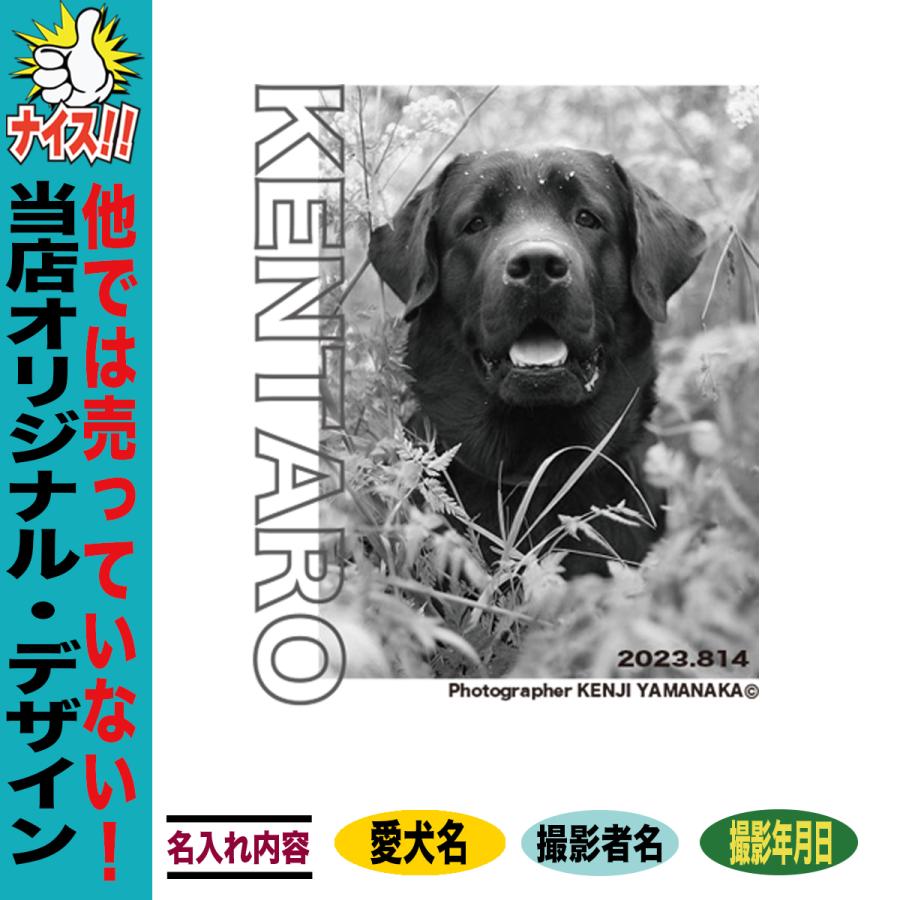 完売ObyO Holly Tシャツ 22年 グレー 犬デザイン チワワハイクオリティーTシャツの商品購入ページ｜クリエイター
