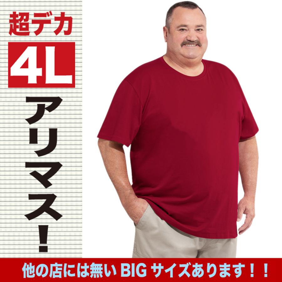 犬柄 Tシャツ 犬柄グッズ おしゃれ 名入れ メンズ オーナーズグッズ 大きいサイズ 4l｜jstoreinter｜07