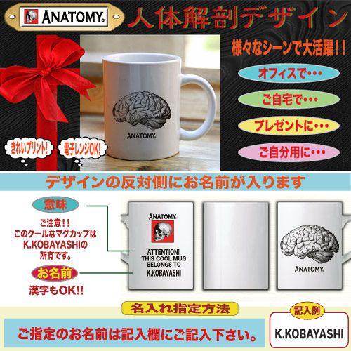 おもしろマグカップ 名入れ パロディ 解剖 脳みそ Y J M Anatomy1 Brain おもしろtシャツ通販のjストア 通販 Yahoo ショッピング