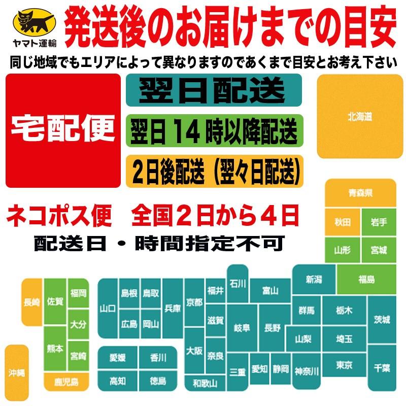 長袖 ロング ロンt おもしろ ユニセックス 世田谷 ベース Us 陸軍 アーミー Y P Lt Gotouchibase Army おもしろtシャツ通販のjストア 通販 Yahoo ショッピング