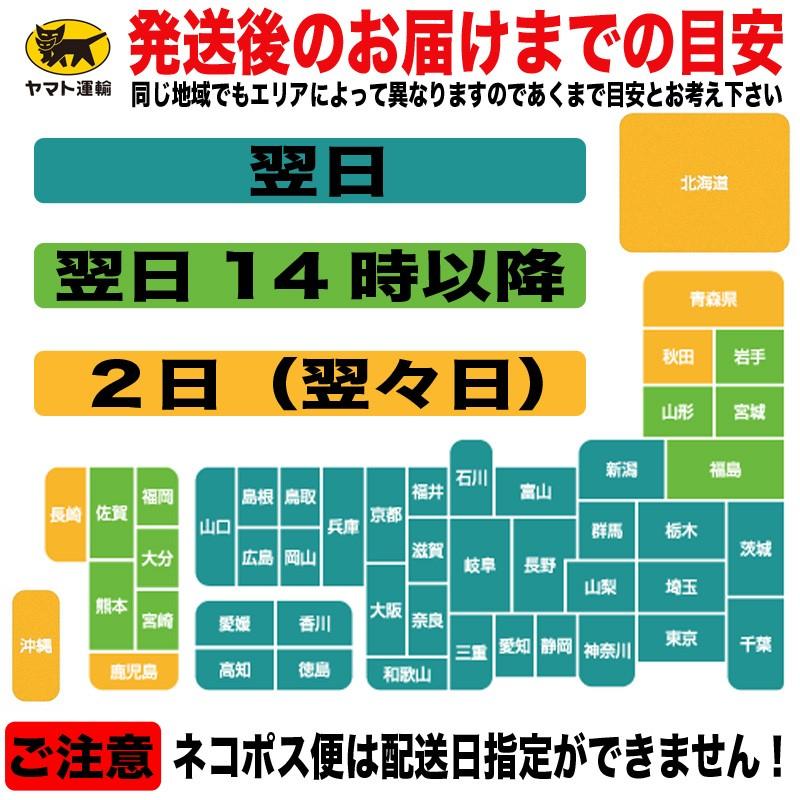おもしろジョークtシャツ ユニセックス 北朝鮮 キムジョンウン ミサイル ケンタッキー Y P T Kju おもしろtシャツ通販のjストア 通販 Yahoo ショッピング