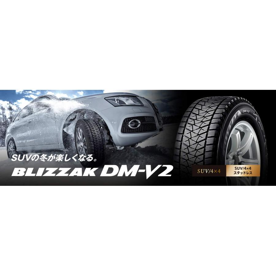 ブリザック DM-V2 2025年製造 ブリヂストン 195/80R15 96Q 新品