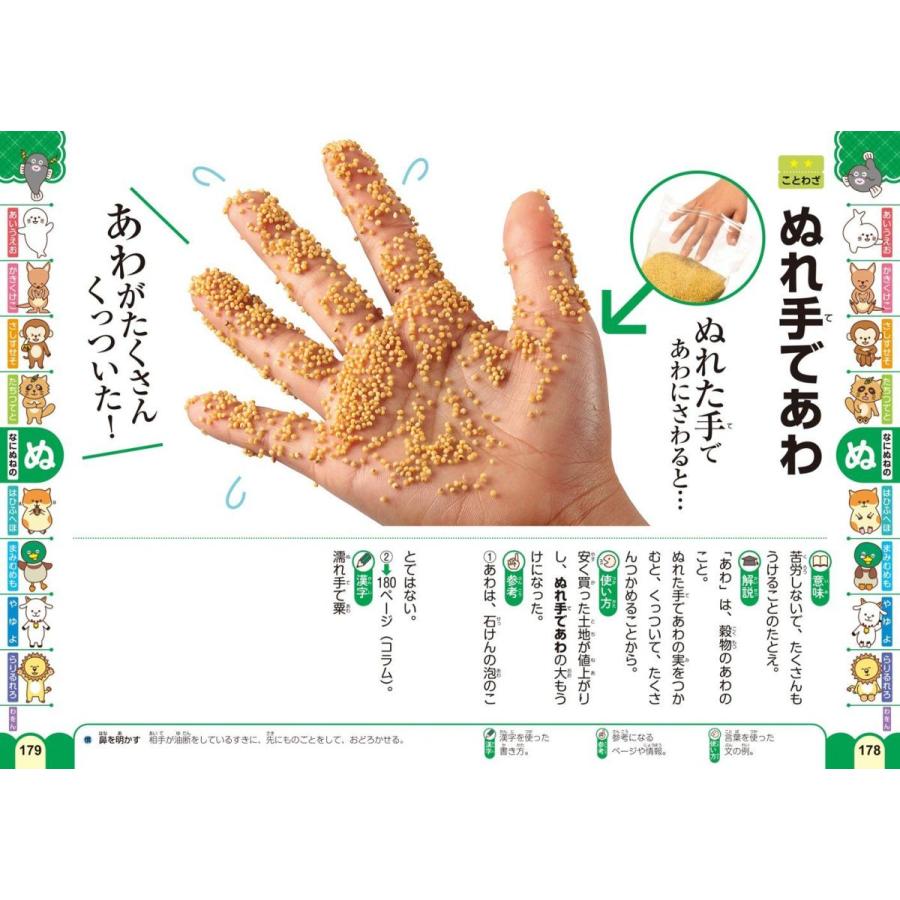 お手頃価格 新レインボー 写真でわかる はじめてことわざ 四字熟語辞典 オールカラー かるた Www Fitstudio Com Br