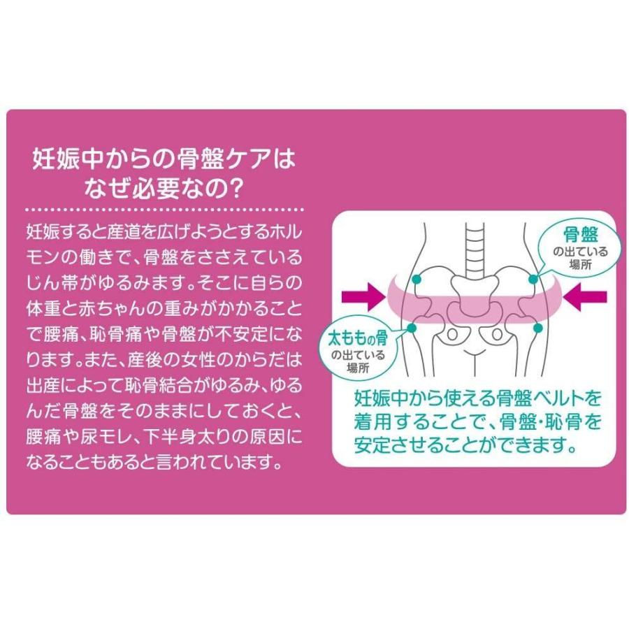 ふるさと割 ピジョン 妊娠中から使える骨盤ベルト L Cisama Sc Gov Br