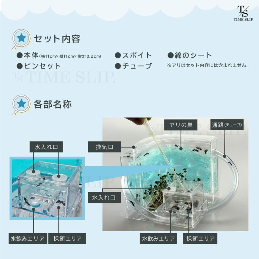 55 Off タイムスリップ アリの巣観察キット 蟻 あり 夏休み 自由研究 工作 飼育 観察 研究 子供 学べる 知育 生物 生き物 Ari 知 Materialworldblog Com
