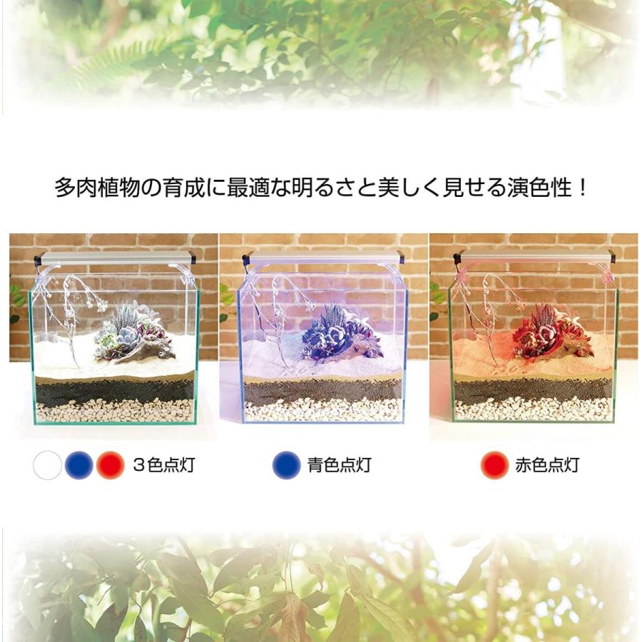 セール価格 ジェックス クリアled パワーiii 600 60cm 水槽用3色led 観賞魚飼育 水草育成用 ライトリフト付 Jtosストア 通販 Yahoo ショッピング 正規販売店舗 Clinipon Com Br