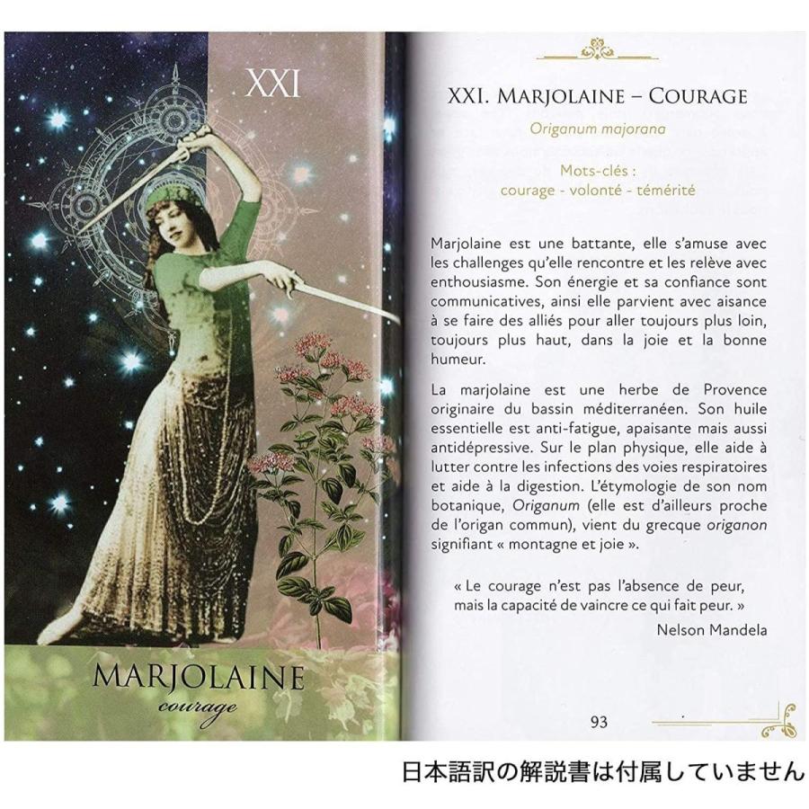 新品本物 正規品 オラクルアロマティーク Oracle Aromatique オラクルカードの意味 日本語一覧付き 占い 開運 Baskincoffee Vicom Corp Com