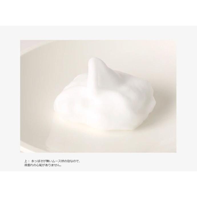 コロニル Collonil 革用 レザーソープ 汚れ落としムース 200ml ドイツ製 レザーケア coll-2 | COLLONIL | 02