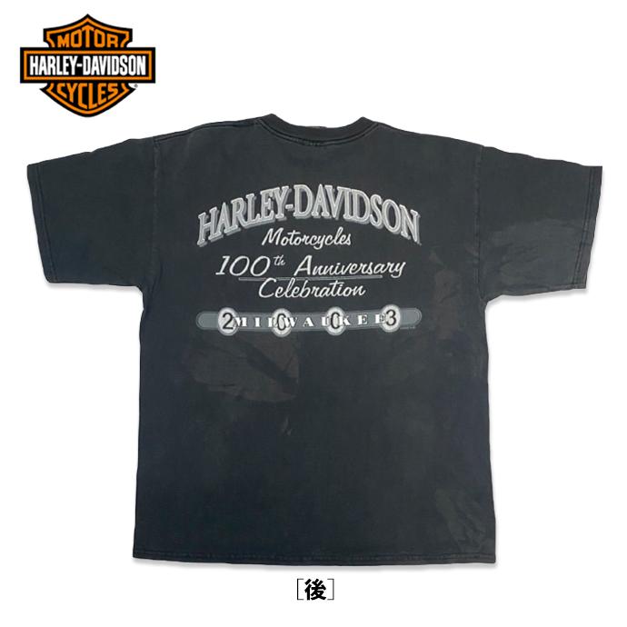 ハーレーダビッドソン 100周年記念 プリント ポケットTシャツ XL 