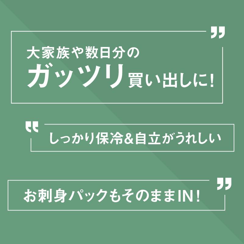 レジカゴバッグ 大容量 軽量 保冷 保温 自立 持ちやすい 折りたたみ コンパクト収納 ランチバッグ ピクニック お弁当バッグ 買い物バッグ エコバッグ 125010｜jtr-store｜06