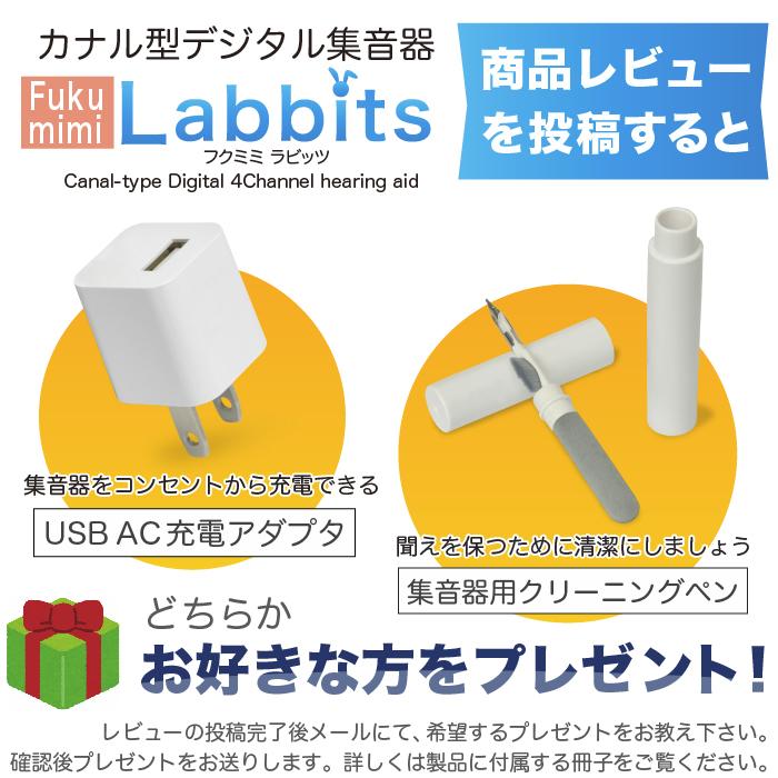 集音器 福耳 カナル型 デジタル 集音器 Labbits ラビッツ USB充電 ノイズ低減 軽量 ストラップ 充電ケース補聴器 しゅうおんき ふくみみ【公式】 JTTオンライン