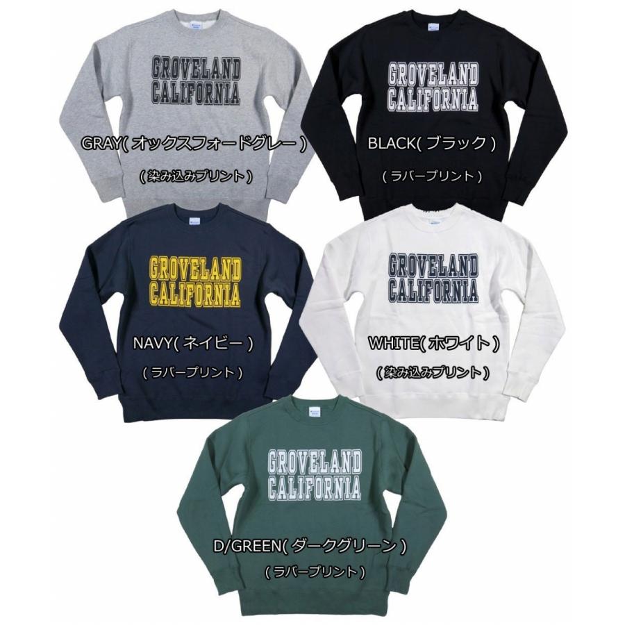 Champion（チャンピオン） トリコロールタグ USAコットン カレッジ