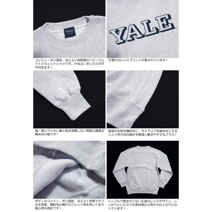 YALE イエール大学 カレッジプリント ヘビーウェイト スウェットシャツ