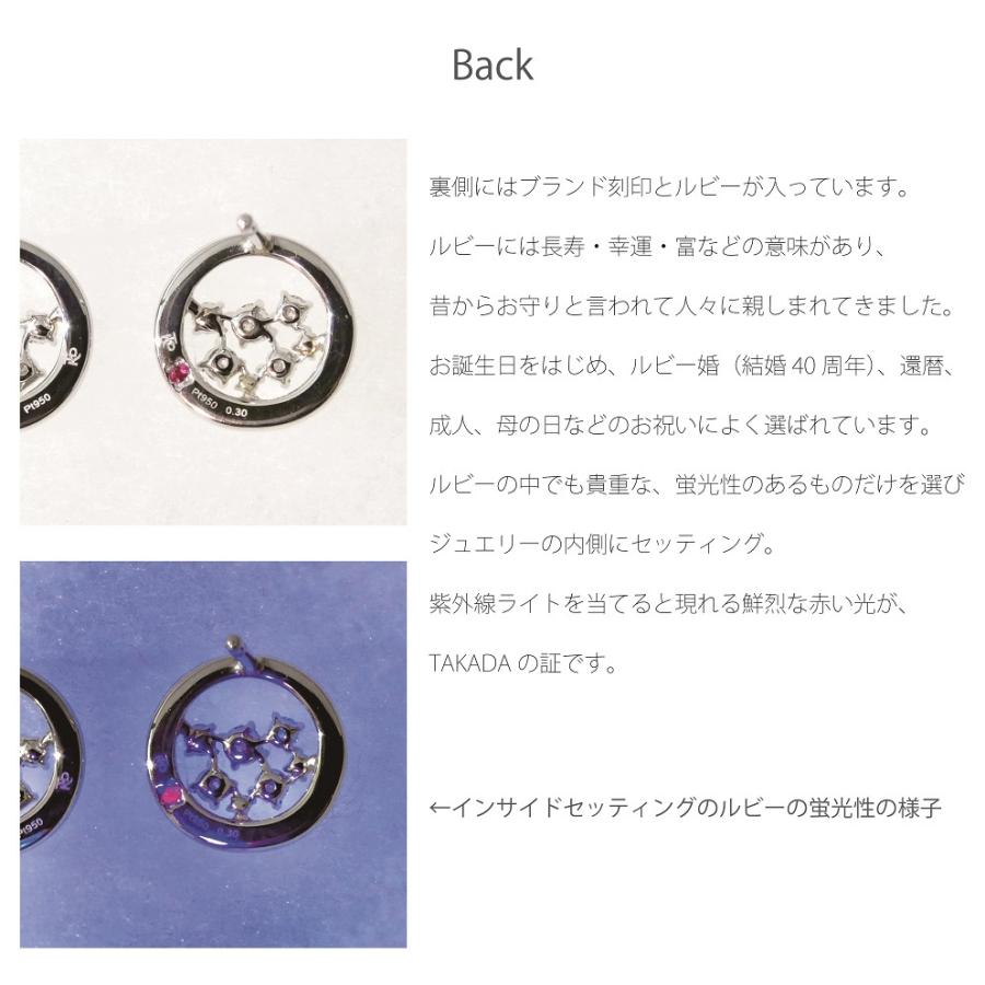アクセサリー プレゼント ご褒美 プラチナ ダイヤモンド ピアス 【高島屋限定】 PTダイヤモンドピアス TAKADA 高田宝飾店 Pay-IRP1 |  | 07