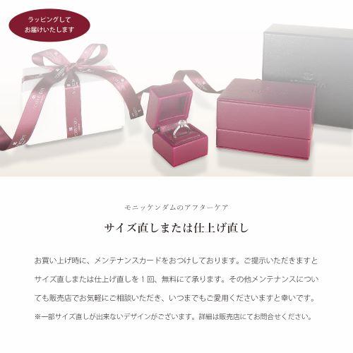 アクセサリー ジュエリー プレゼント ご褒美 プラチナ ダイヤモンド ネックレス  モニッケンダム PTダイヤモンドネックレス Pay-17PN50-0.15の画像